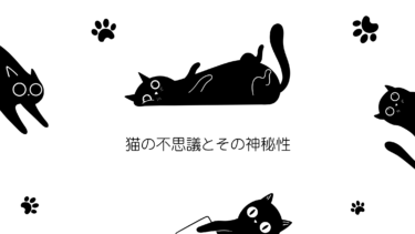 猫の不思議と神秘性