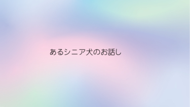 あるシニア犬のお話し